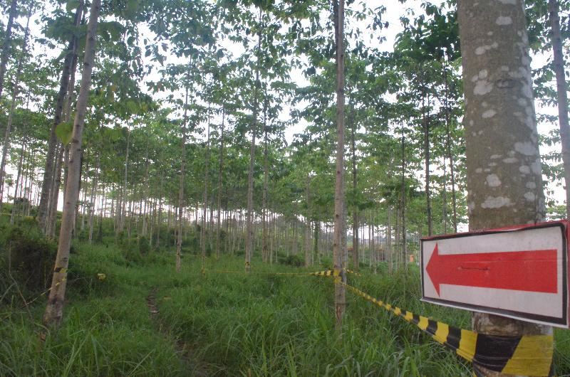 酒店 Ibis Budget Cikarang Festival