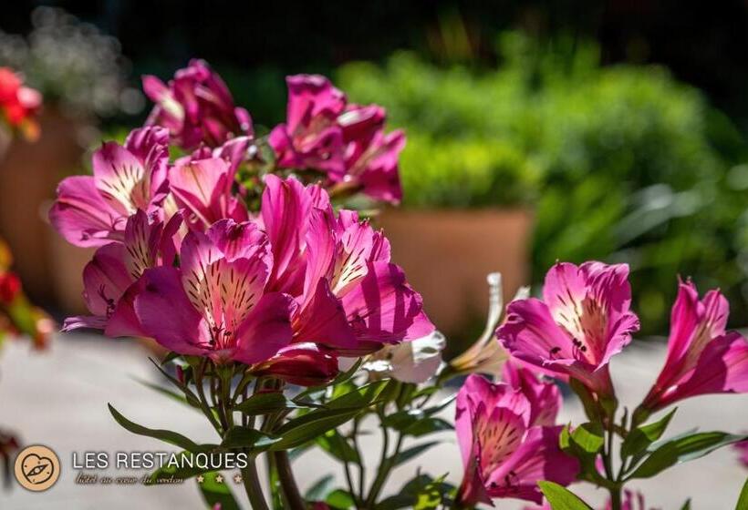 Отель Les Restanques De Moustiers