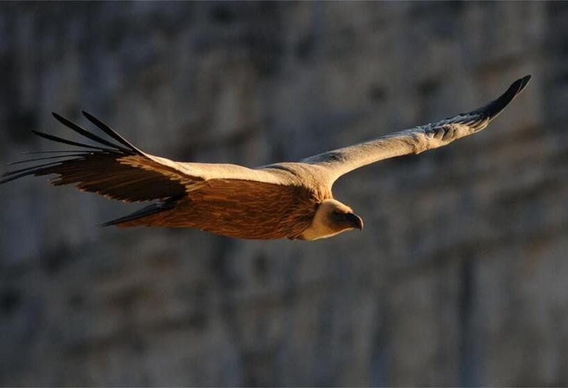 Отель Les Restanques De Moustiers