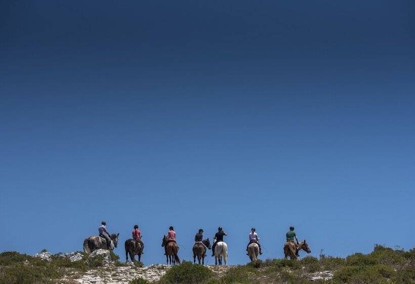 בית מלון כפרי Lux Fatima