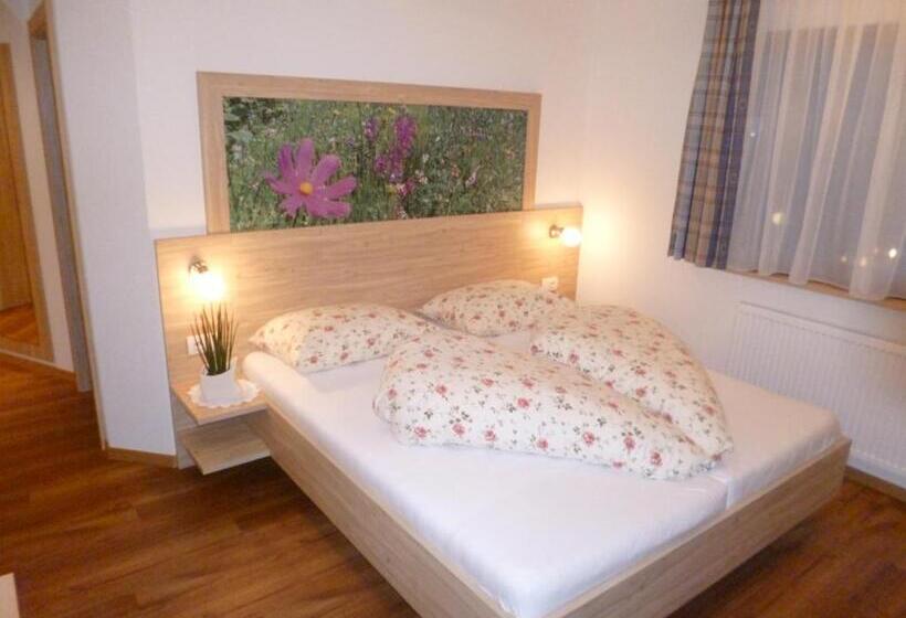 בית מלון כפרי Mair