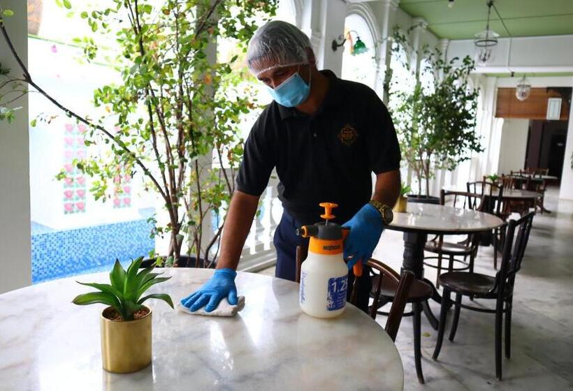 בית מלון כפרי Museum