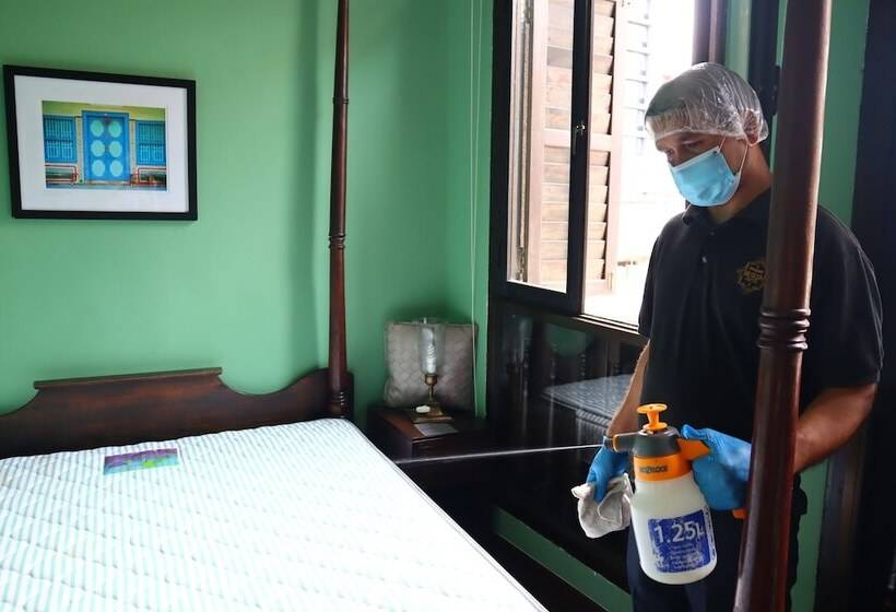 בית מלון כפרי Museum