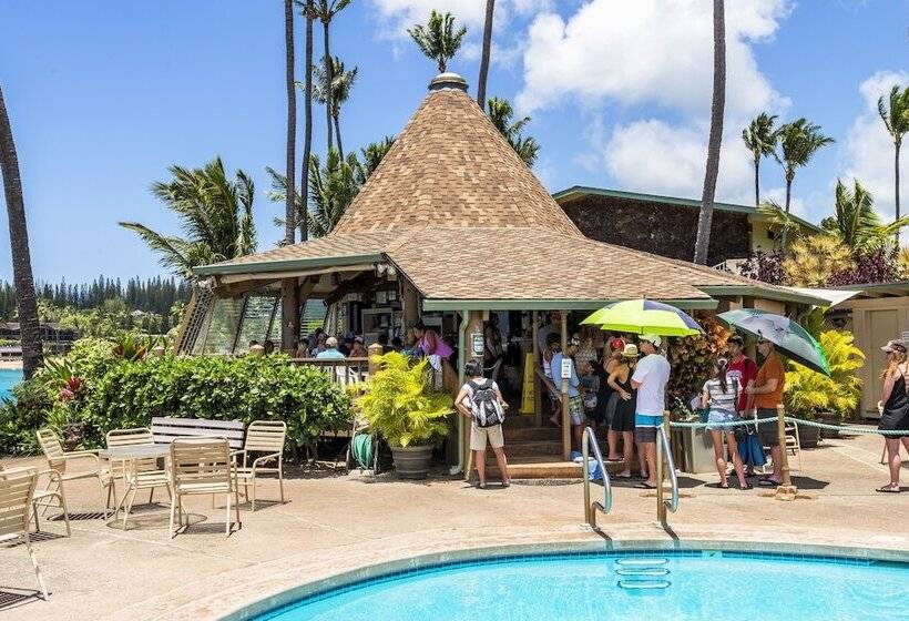 Отель Napili Point C 12   2br Condo