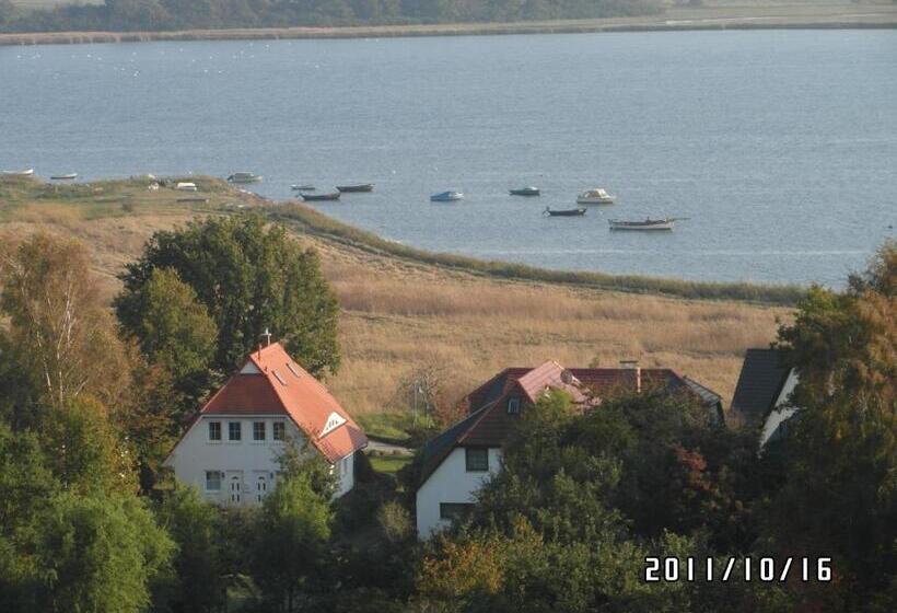 Отель Pension Deichgraf