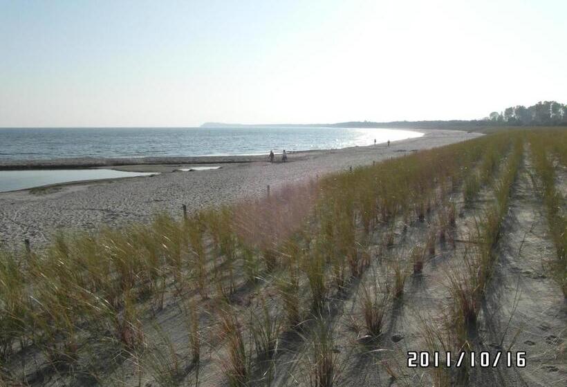 Отель Pension Deichgraf