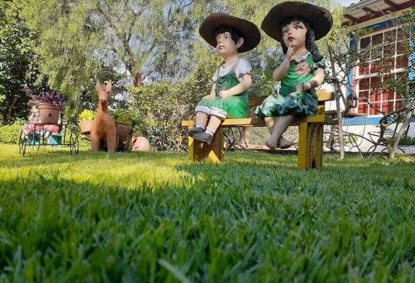 호텔 Pousada Araujo Bazilio