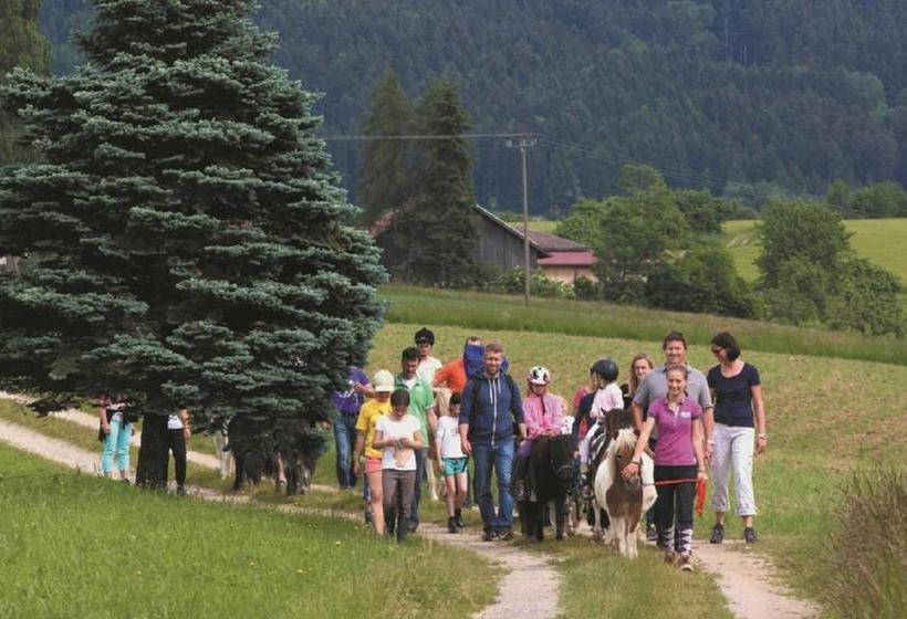 Отель Reiterhof Schober