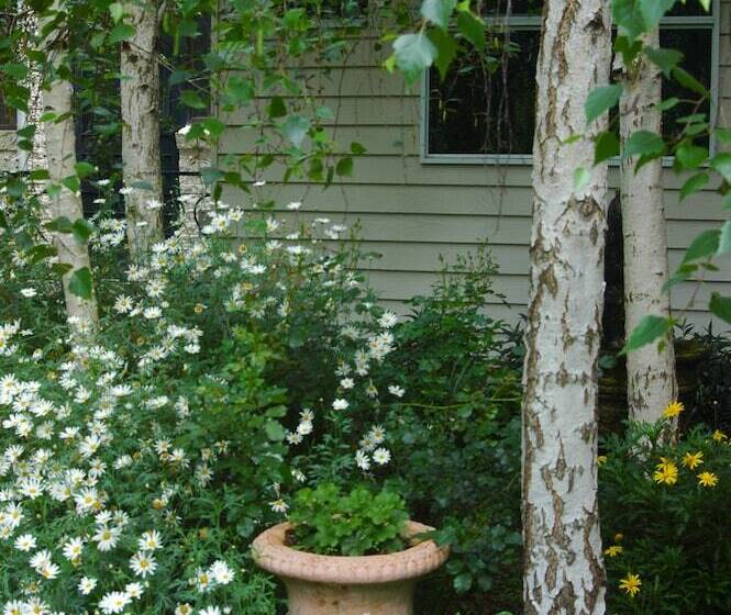 ホテル Rosewood Guesthouse