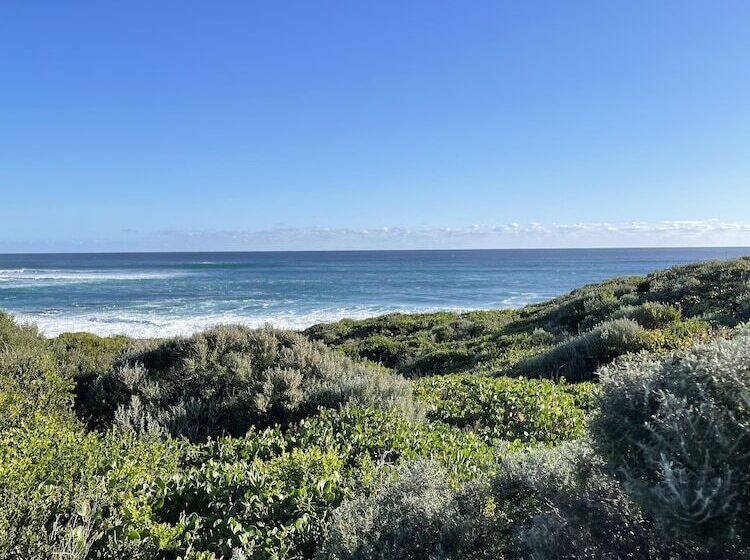 فندق Rosewood Guesthouse