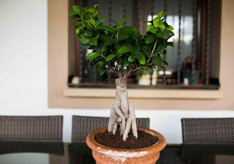 בית מלון כפרי Casa De La Cadena