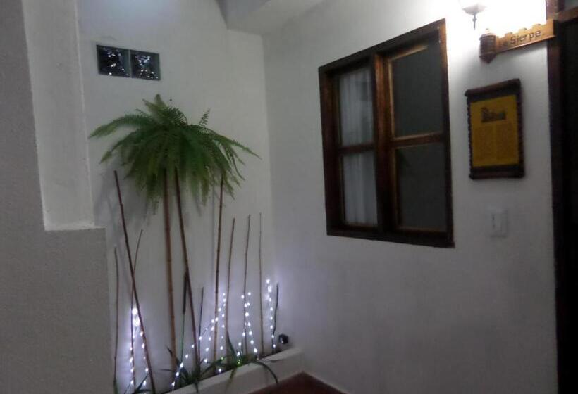 Отель San Roque