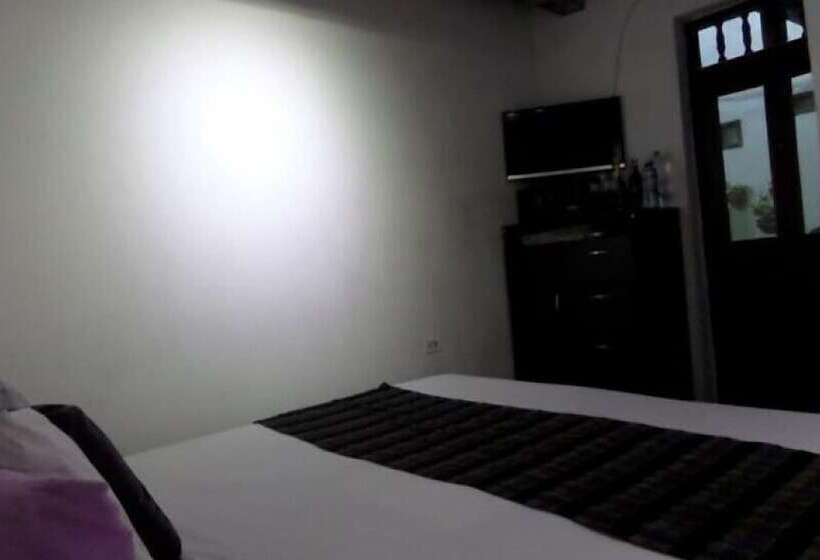 Отель San Roque