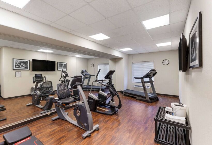 فندق Sleep Inn & Suites Carlsbad Caverns Area