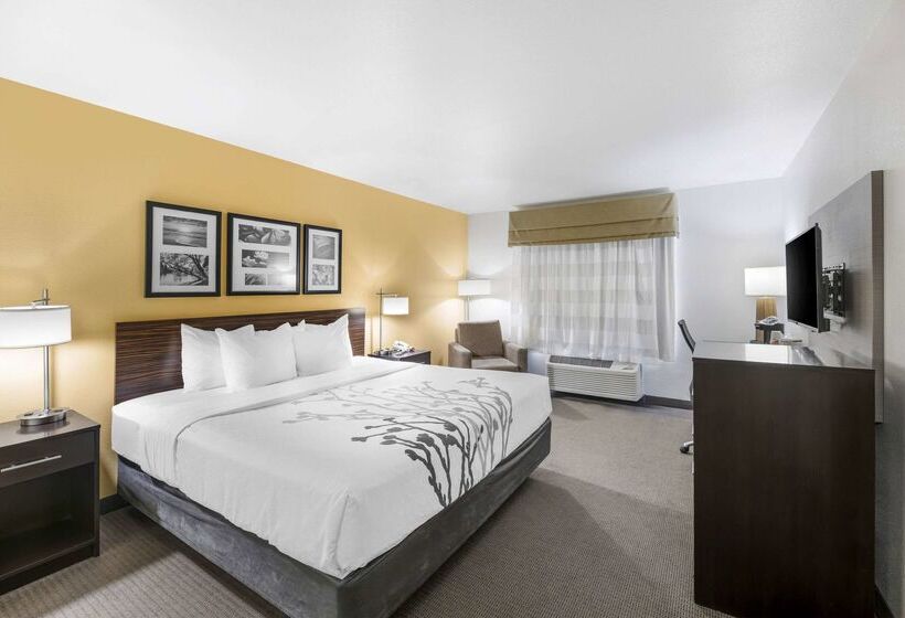 فندق Sleep Inn & Suites Carlsbad Caverns Area