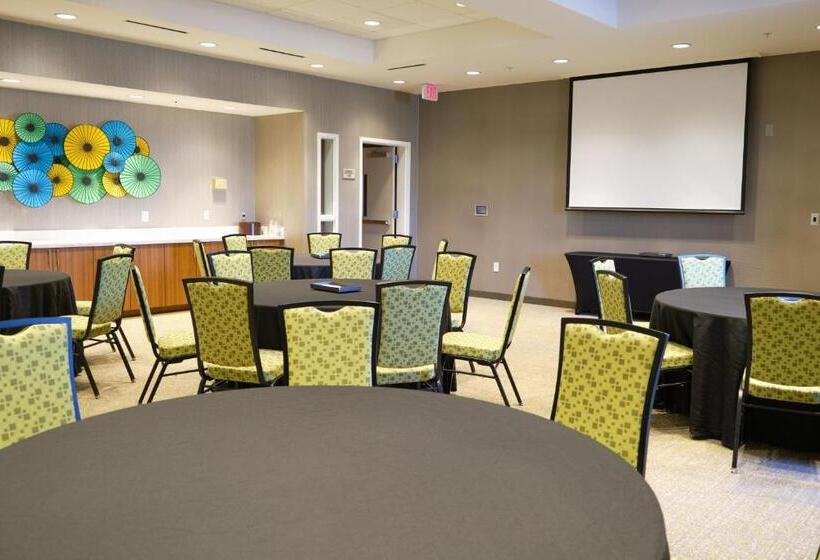 Отель Springhill Suites By Marriott Dallas Lewisville