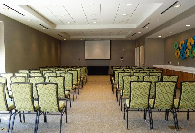 Отель Springhill Suites By Marriott Dallas Lewisville