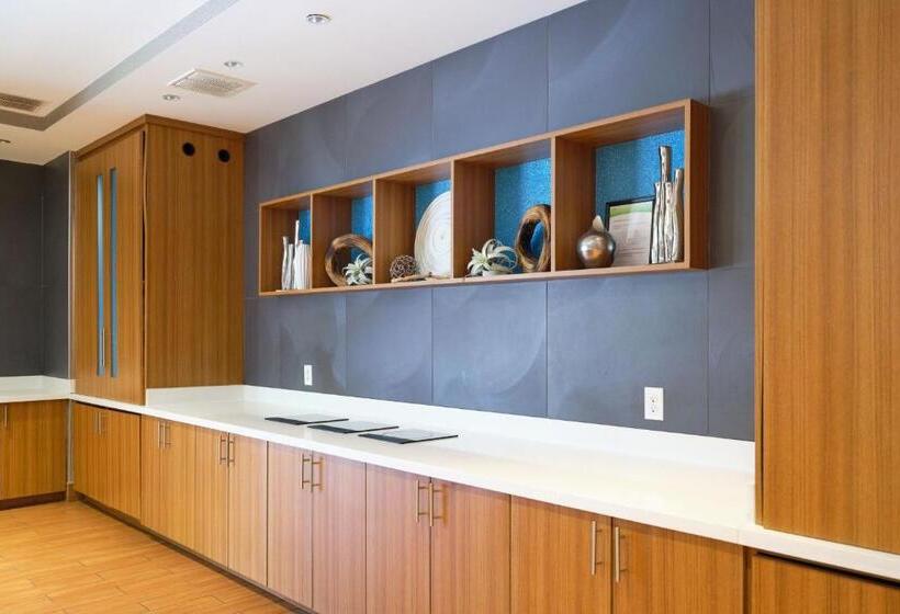 Отель Springhill Suites By Marriott Dallas Lewisville