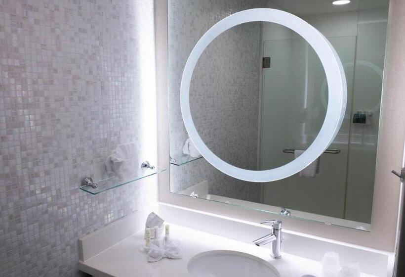 Отель Springhill Suites By Marriott Dallas Lewisville