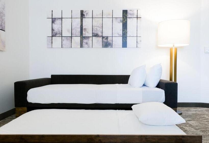 Отель Springhill Suites By Marriott Dallas Lewisville