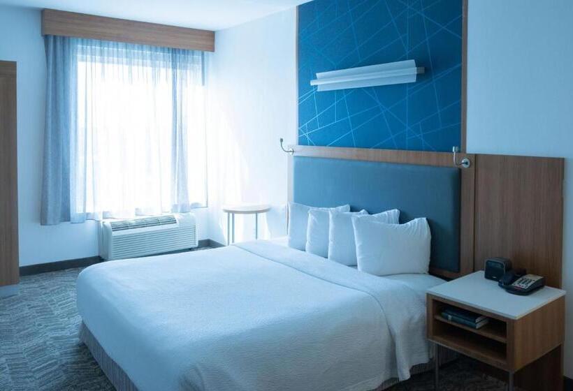 Отель Springhill Suites By Marriott Dallas Lewisville