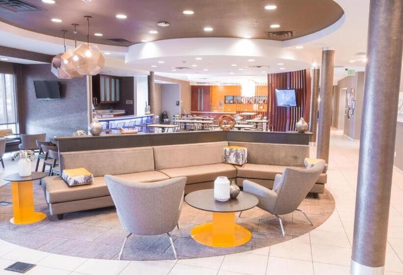 Отель Springhill Suites By Marriott Dallas Lewisville