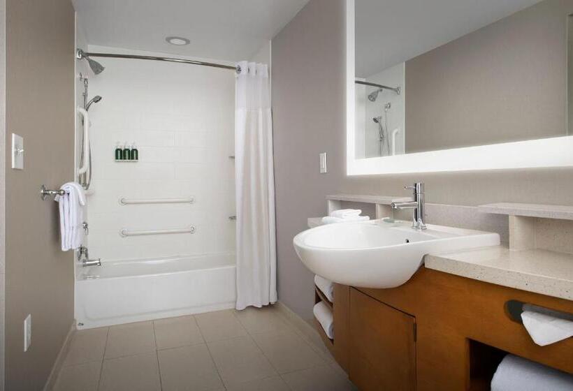 בית מלון כפרי Springhill Suites By Marriott Tuscaloosa