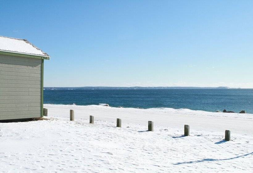 فندق Surfside Inn