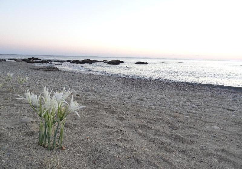 Отель Thalassa House Apartments