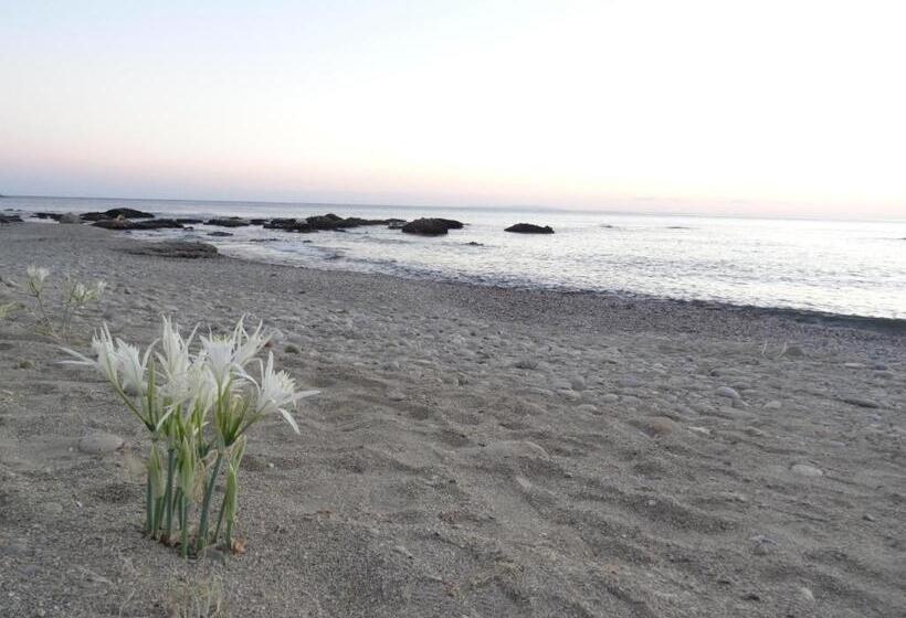 Отель Thalassa House Apartments