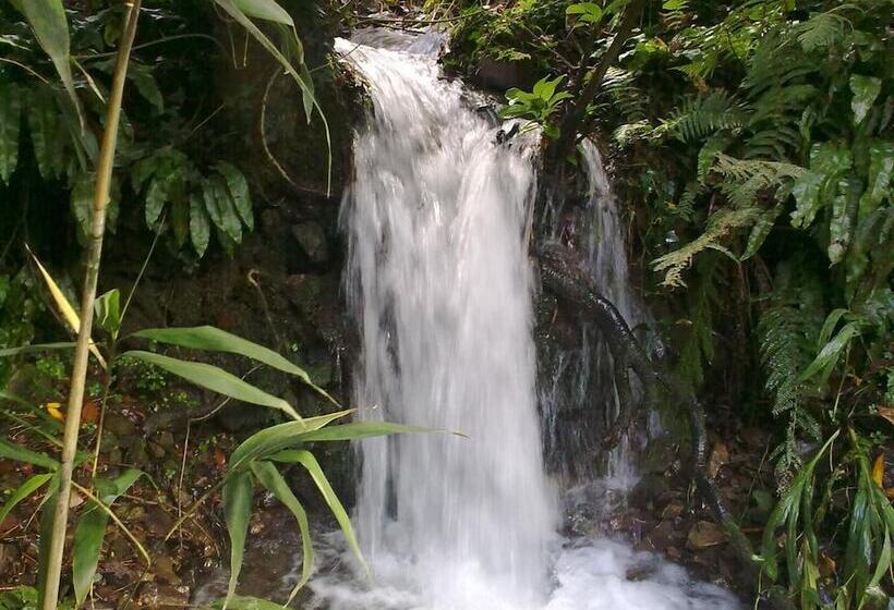 فندق The Hunters Inn