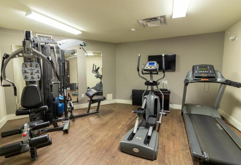 فندق The Kanata By Bcminns Blairmore