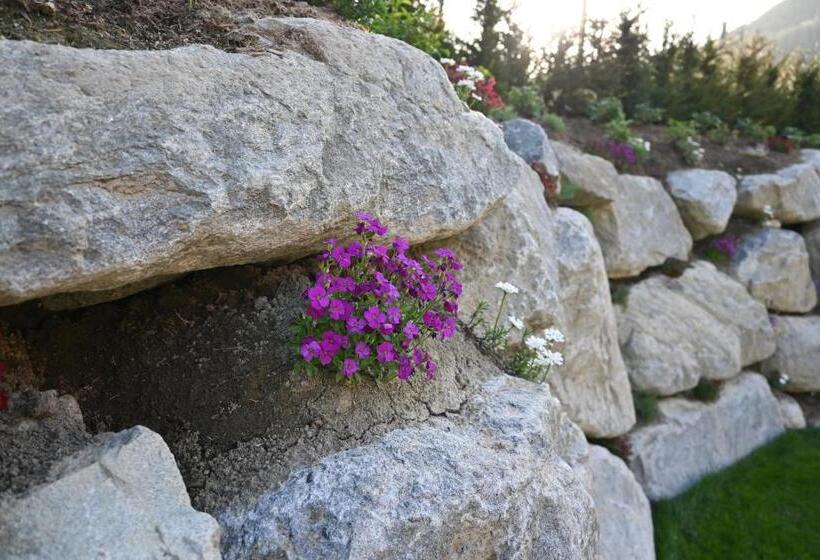 Отель Tilia Living