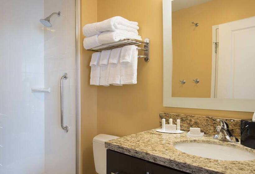 酒店 Towneplace Suites By Marriott Champaign
