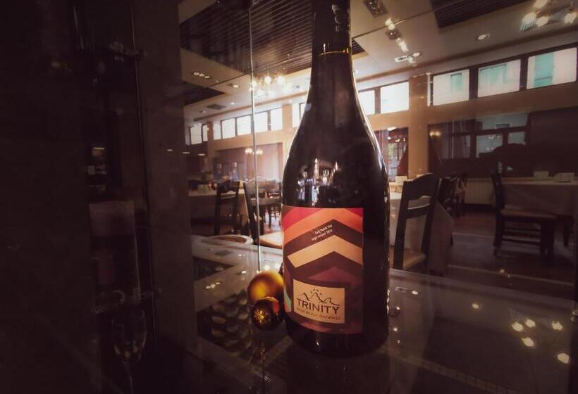 호텔 Trinity Residence Bansko