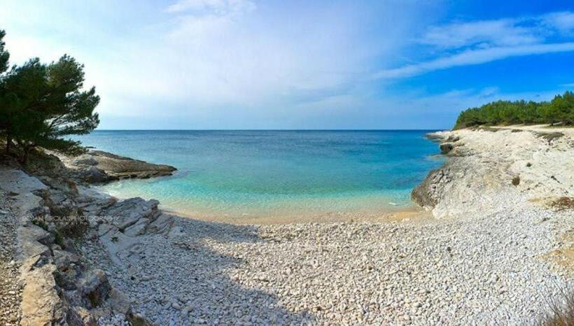 酒店 Villa Natalija