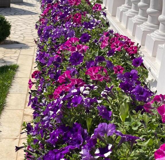 酒店 Villa Natalija