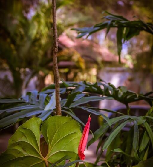 هتل Zawadi House Lodge