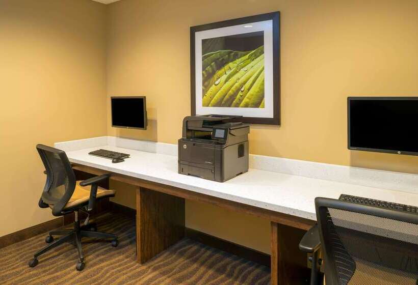 Microtel Inn & Suites By Wyndham Red Deer