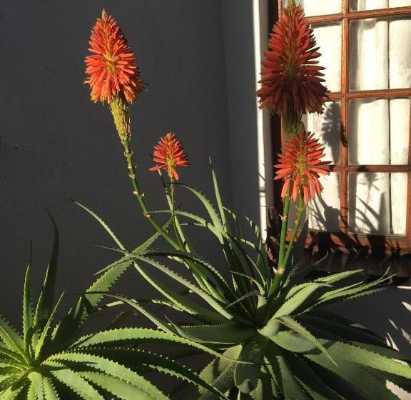 פנסיון Sleepers Villa Guesthouse