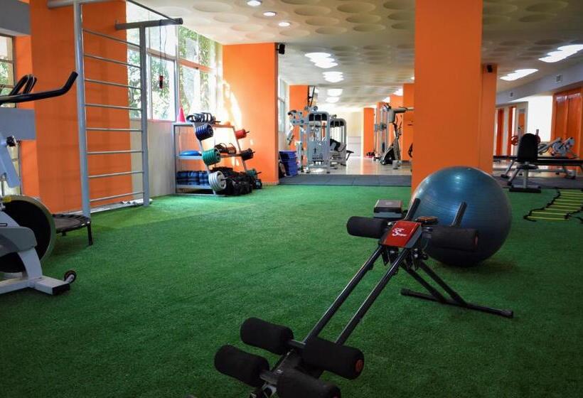 Realminas Hotel E Restaurante