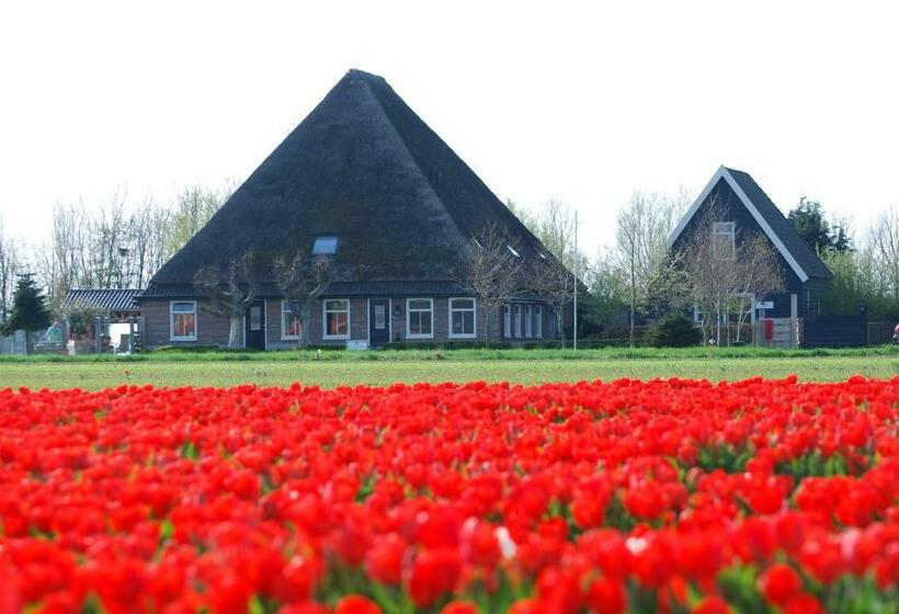 B&b Idylle Aan Zee Incl 2 Wellnessstudios