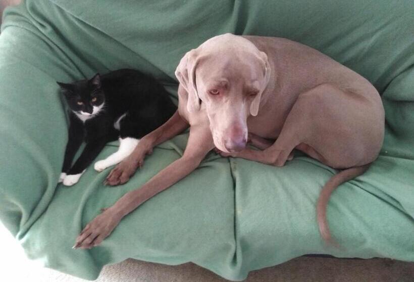 مبيت وإفطار Applaud Bnb