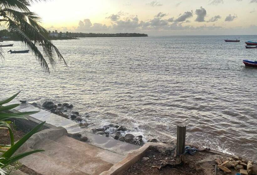 Bed and Breakfast Las Palmeras Oceanview Hotel And Dive Center