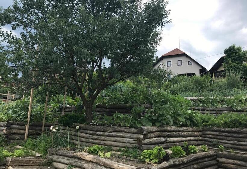 هتل Glamping Laško