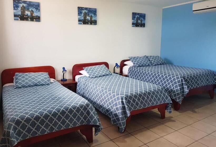 酒店 Grosseto Palma Real