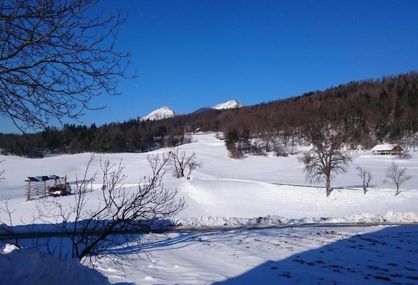پانسیون Apartment Vrtacnik