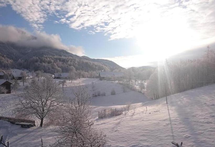 پانسیون Apartment Vrtacnik