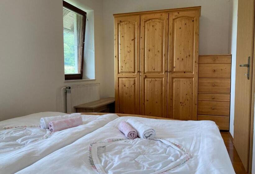 پانسیون Apartment Vrtacnik