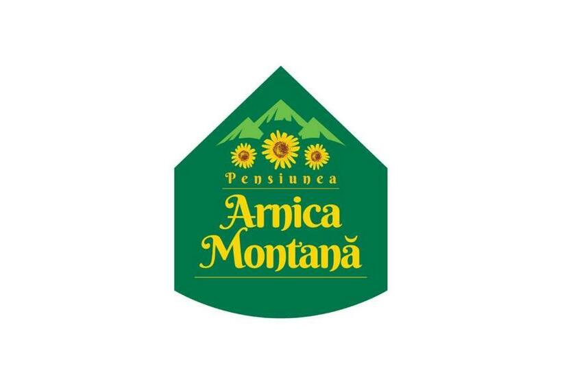膳宿费 Arnica Montana
